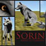 Sorin: Alpha of Daridian
