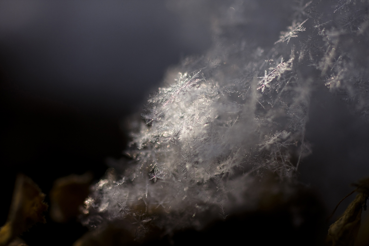 Snow Crystals 5