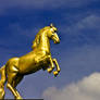 Golden Horse
