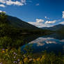 Reflection in the Lake