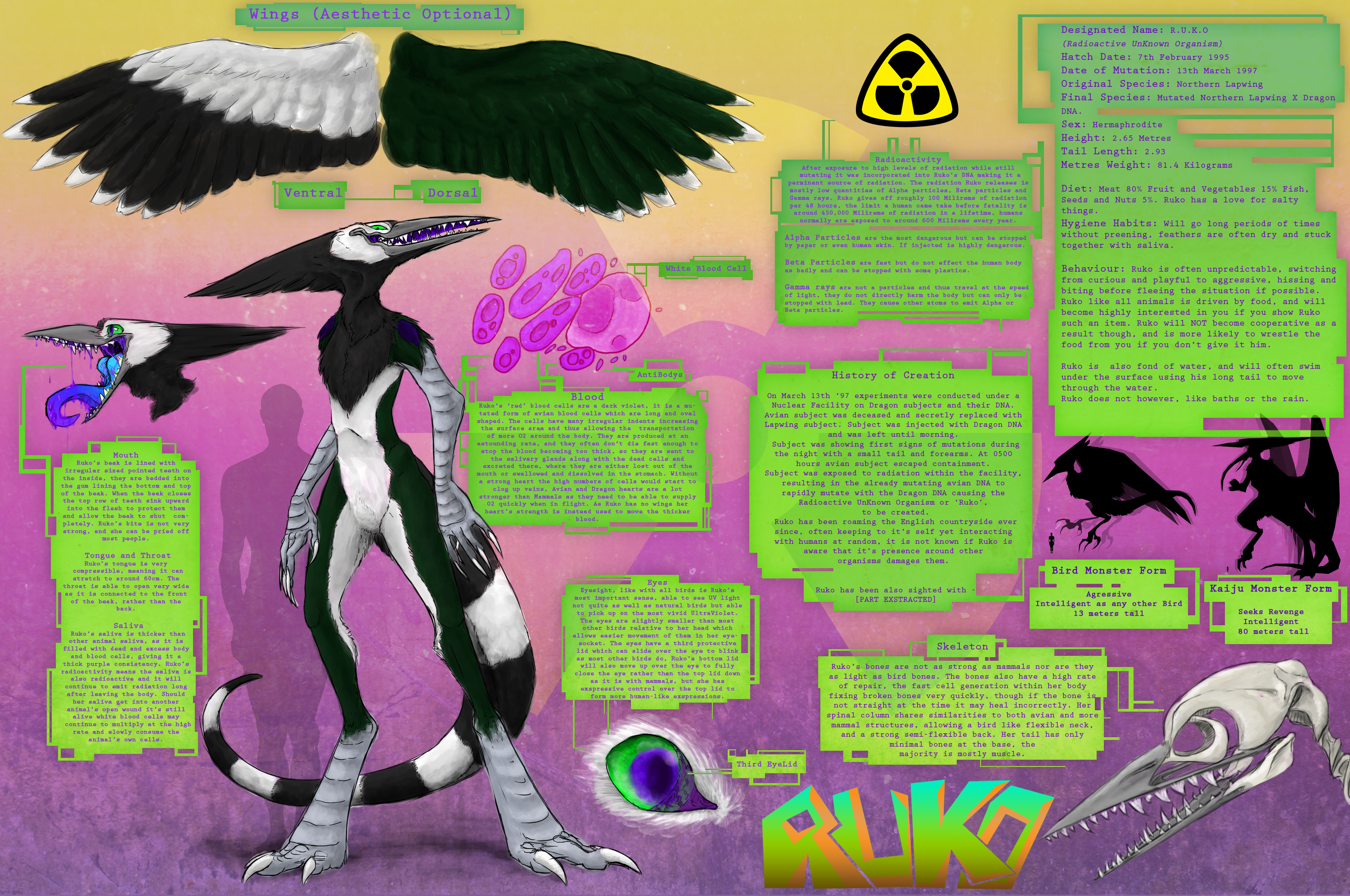 Ruko's Massive Reference Sheet