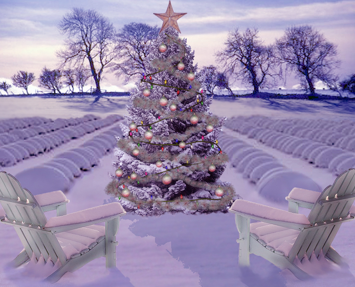 Lavender Christmas Card