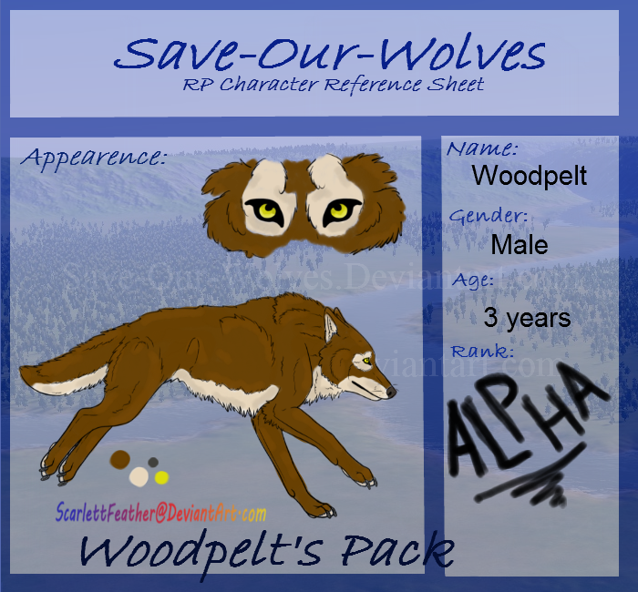 WE ARE DONE! Create an RP character ref sheet NOW! by Save-our-Wolves ...