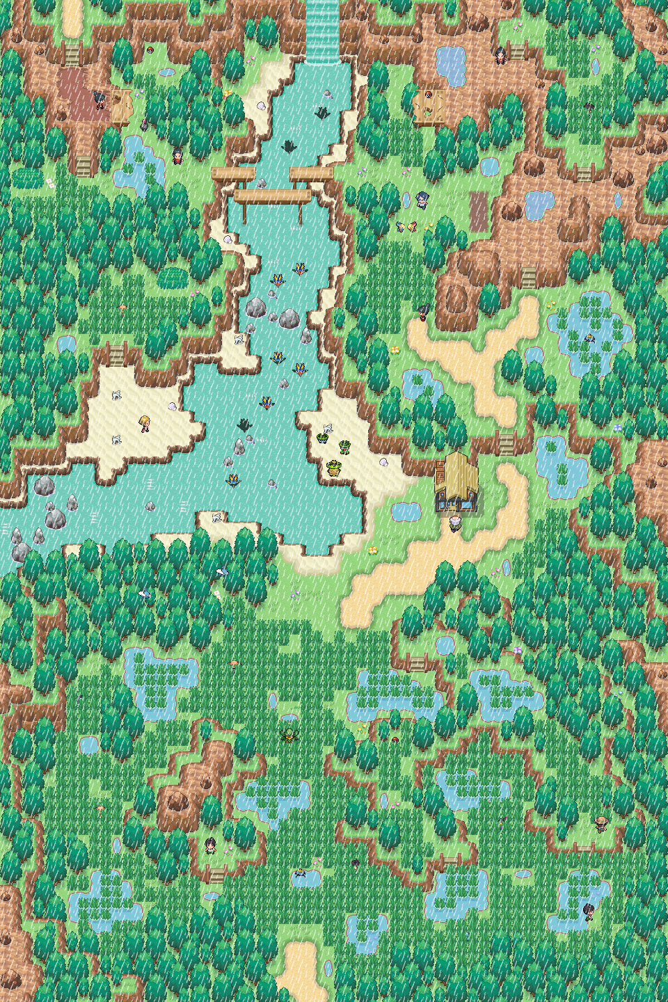 Hoenn Remake number 2 - Route 117