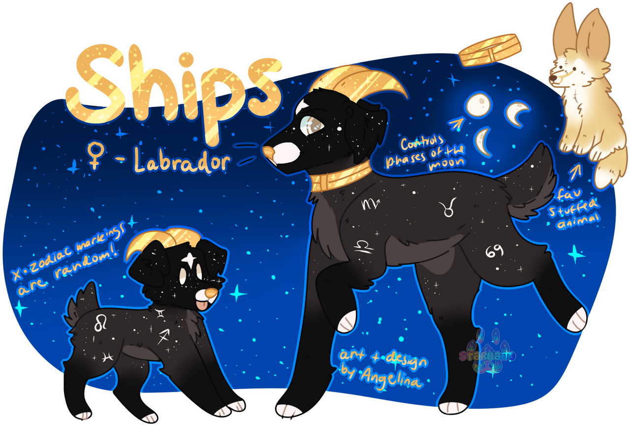 Pirate Ships by stzrbabe on DeviantArt