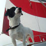 Sailing JRT