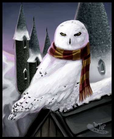 Harry Potter Hedwig by RubisFirenos on DeviantArt