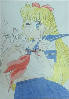 Sailor Venus and Artemis .