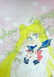 Usagi Tsukino ( Sailor Moon )