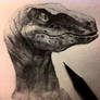 Jurassic World - Velociraptor Sketch