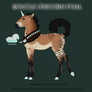 [E847] Boucle Foal - Takhi