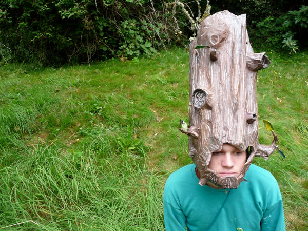 Stump Helmet