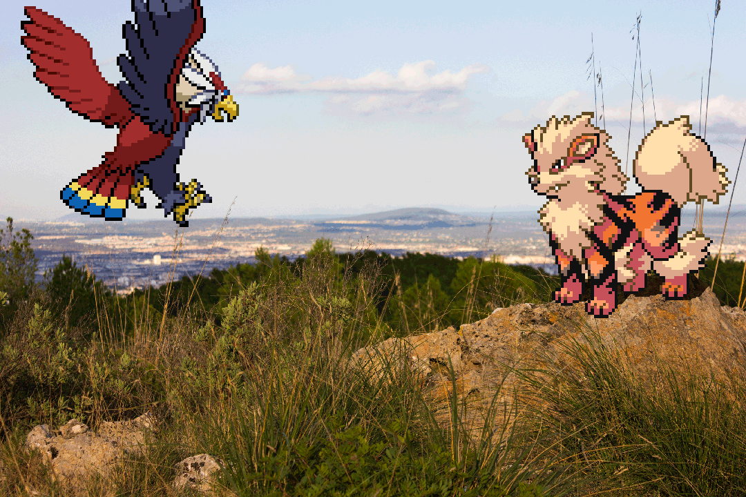 Real Bits - Pokemon Special: Mountain encounter by VictorSauron