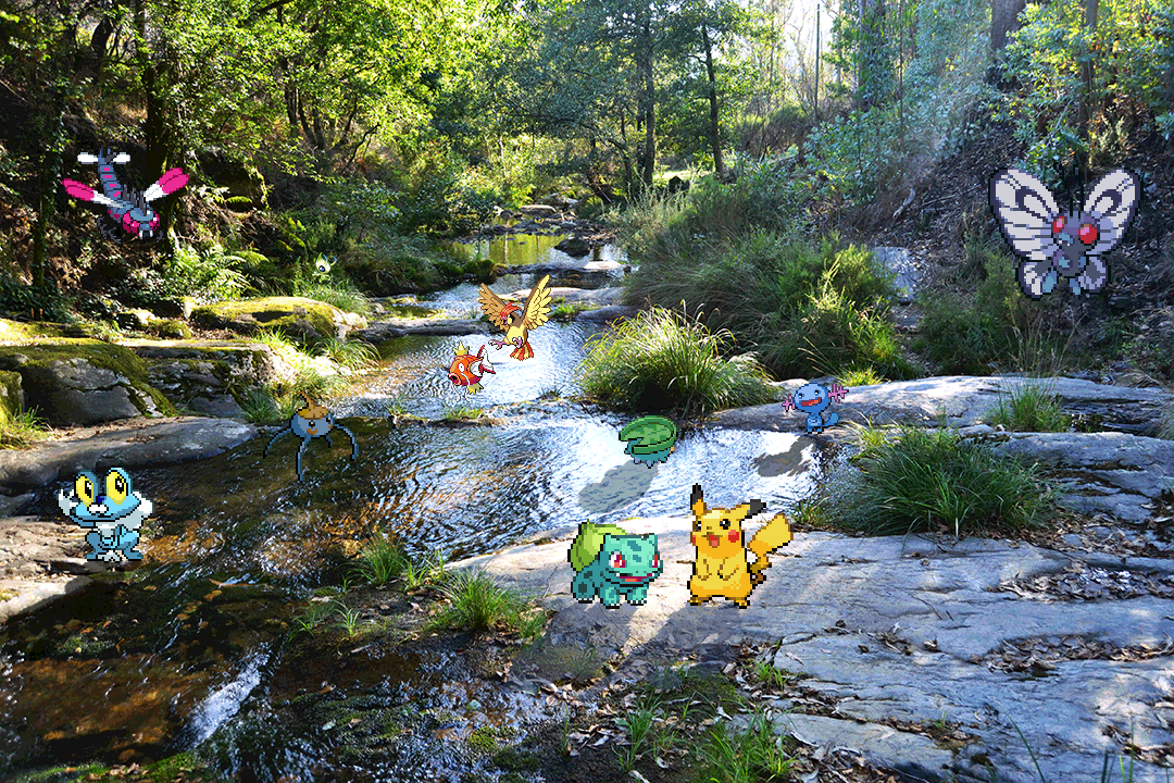 Real Bits - Pokemon Special: River in the forest by VictorSauron