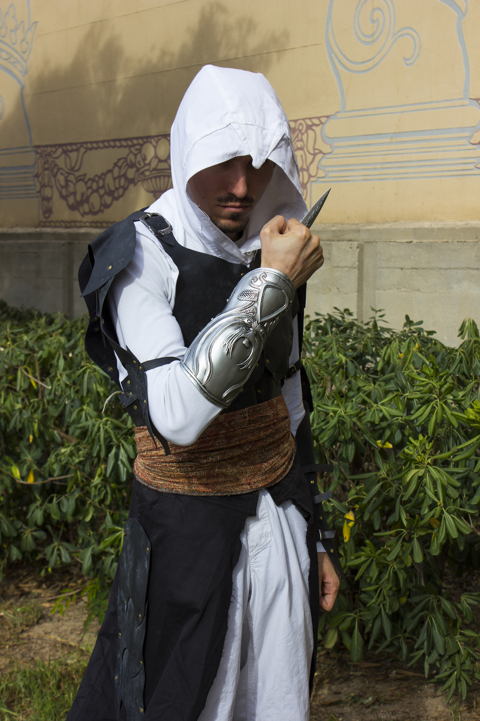 Assassin's Creed: hidden blade