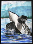 Killer Whale in Flight by DavisTheSecond
