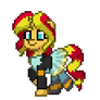 Pony Town : Sunset Shimmer - Gif