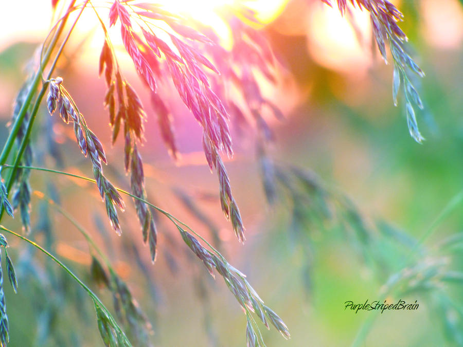 M e m o r i e s by purplestripedbrain on DeviantArt
