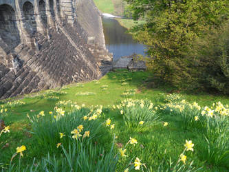 Lake Vyrnwy