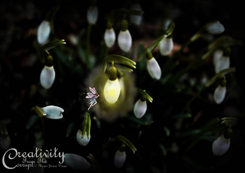 Snow Drop Fairy Lantern