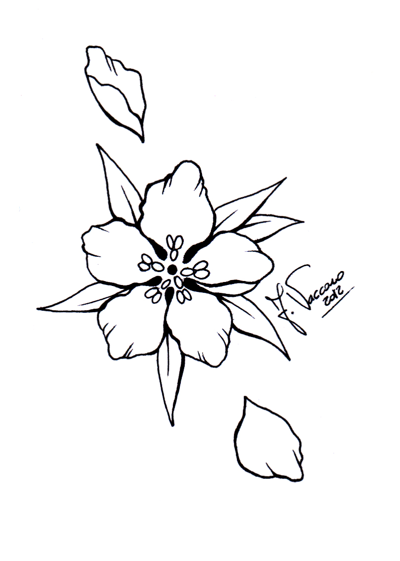 Peach Flower Lineart By Kauniitaunia On DeviantArt peach-flower-lineart-by-kauniitaunia-on-deviantart