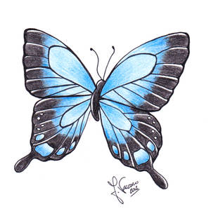 Butterfly 1