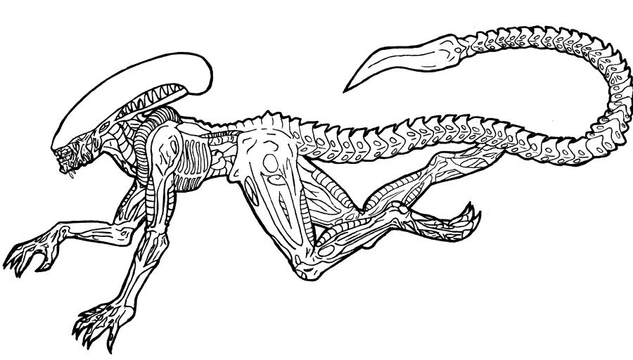 Alien Runner by Sephiroth-Strife on DeviantArt