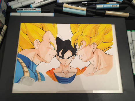 Dragon Ball Z - Vegeta VS Goku