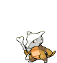 MAROWAK, Use Earthquake