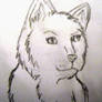 Cat Sketch II