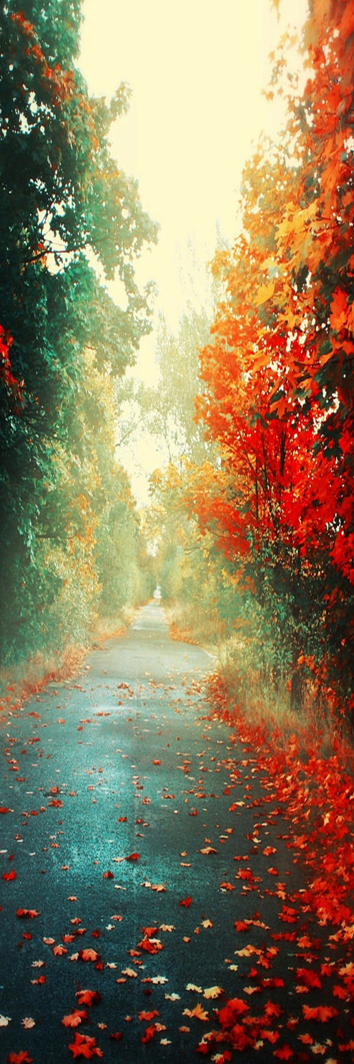 custom backround by ToxicHooves on DeviantArt