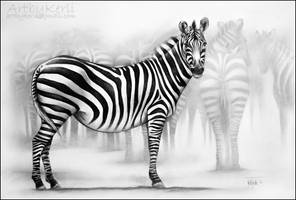 Zebras