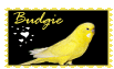d25iuj9-8b55a7e4-17c2-4775-9873-f2bafc41