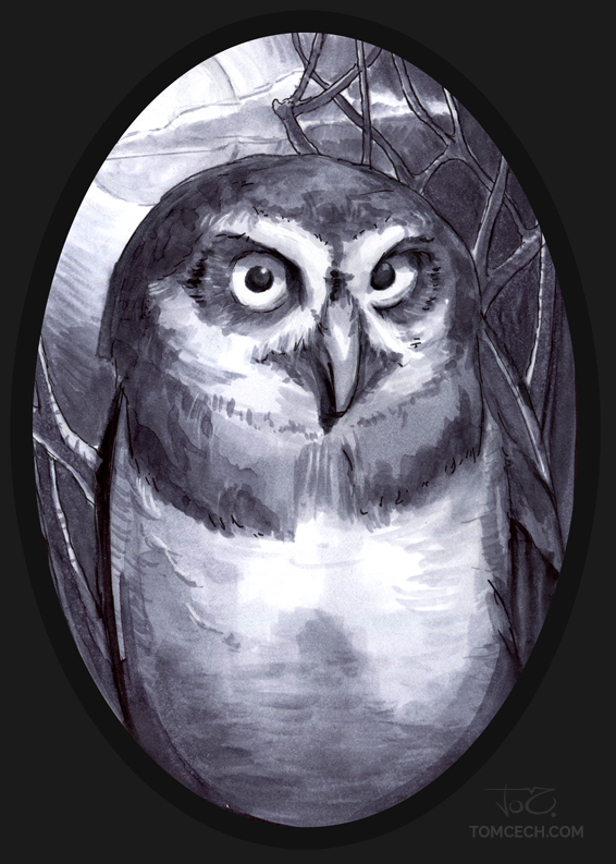 Owl