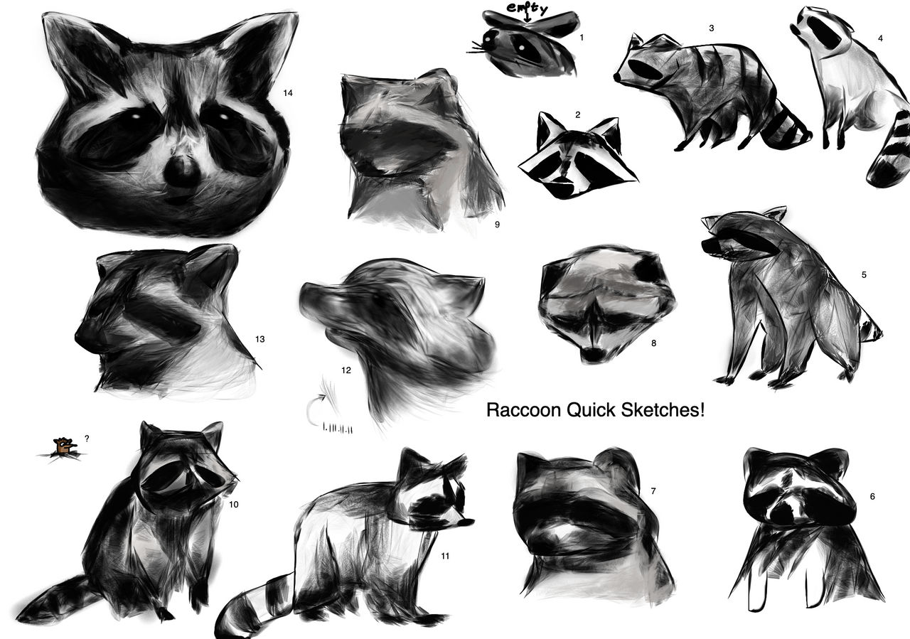 Character Raccoon Drawing Learning to draw - Raccoons! by RedEric7 on DeviantArt