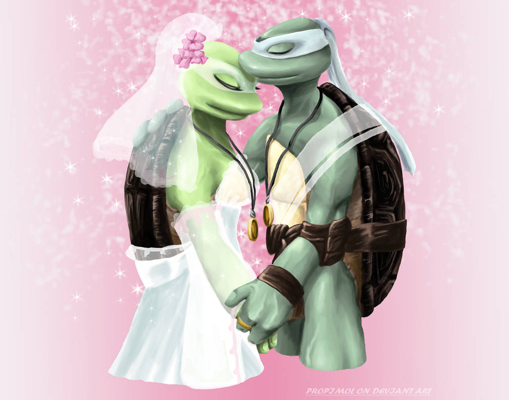 TMNT MAOLIER and OLIVIER MARRY