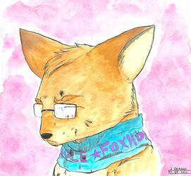 Fox With Glasses