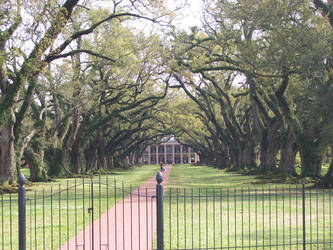 Oak Alley Plantation