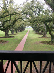 Oak Alley Balconey