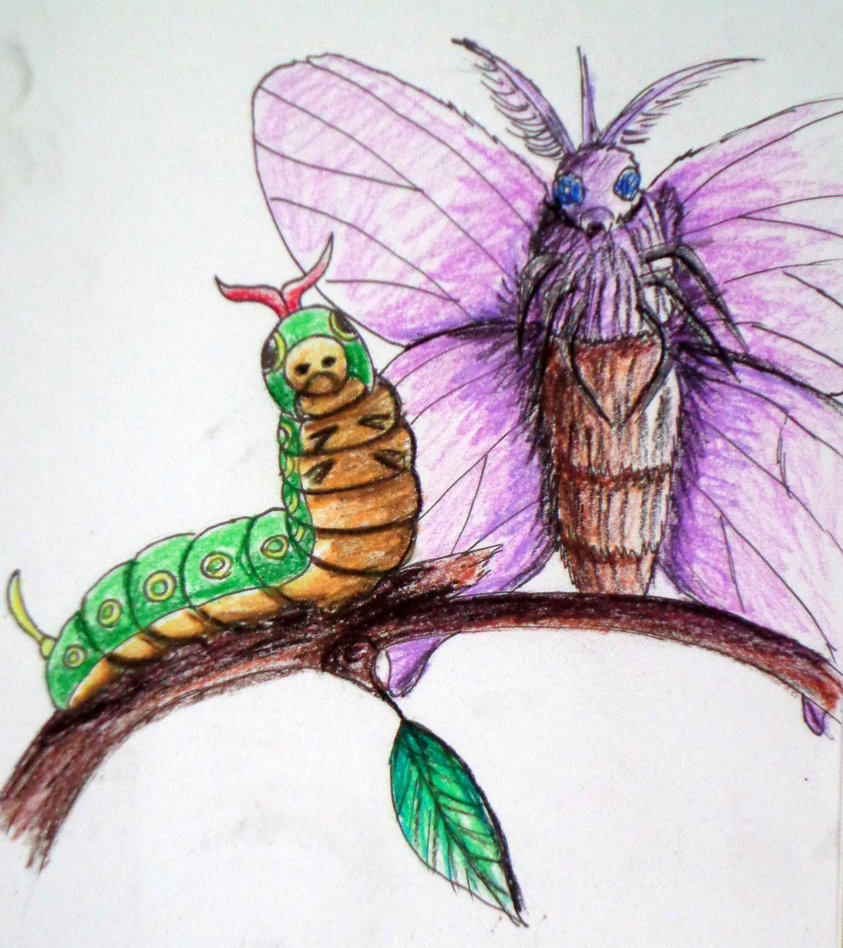 Caterpie and Venomoth for Legrandzilla