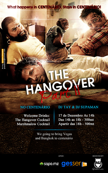 The Hangover Party 2 The Party