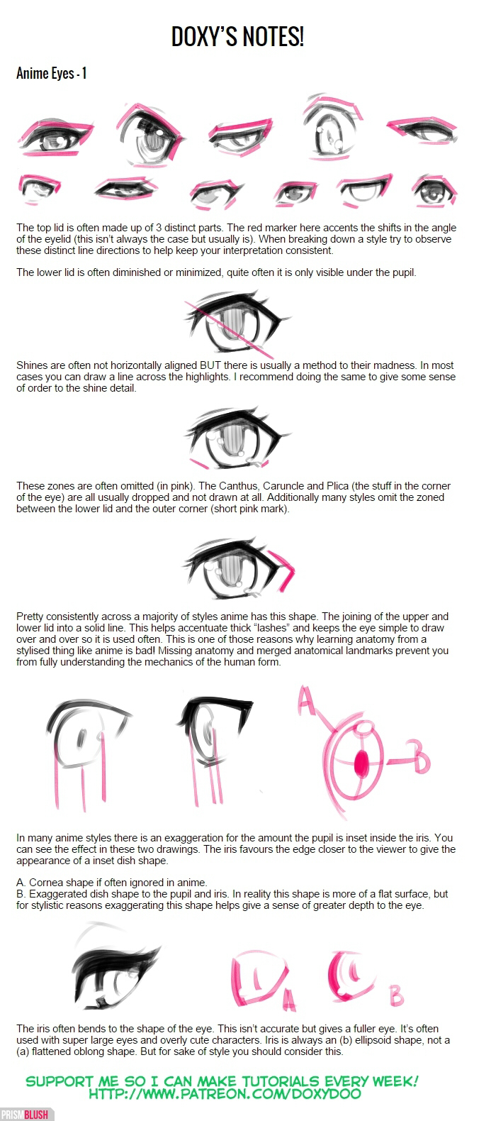 Eyeball Notes 2