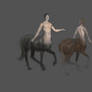 Centaur Study 2