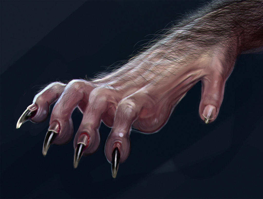 Werewolf Hand Werewolf Hand Detail 2 by liminalbean on DeviantArt