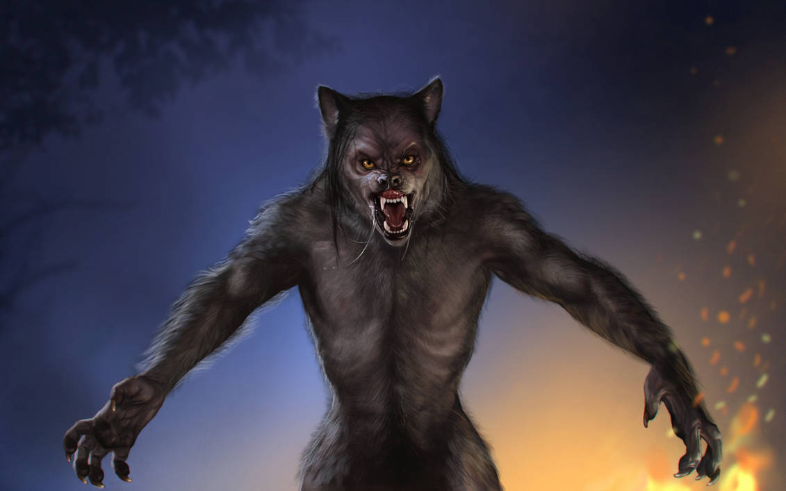 Оборотни волк человек. «Оборотень - a Werewolf boy» АРИМЕ. Целладимирон оборотень. Человек-волк 2010 оборотень.