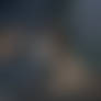 Werewolf Streamer