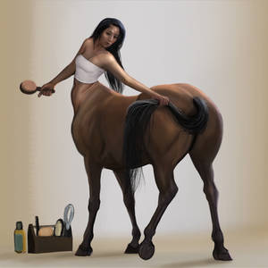 Centaur Grooming