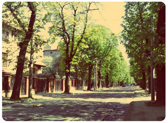 quiet lviv street