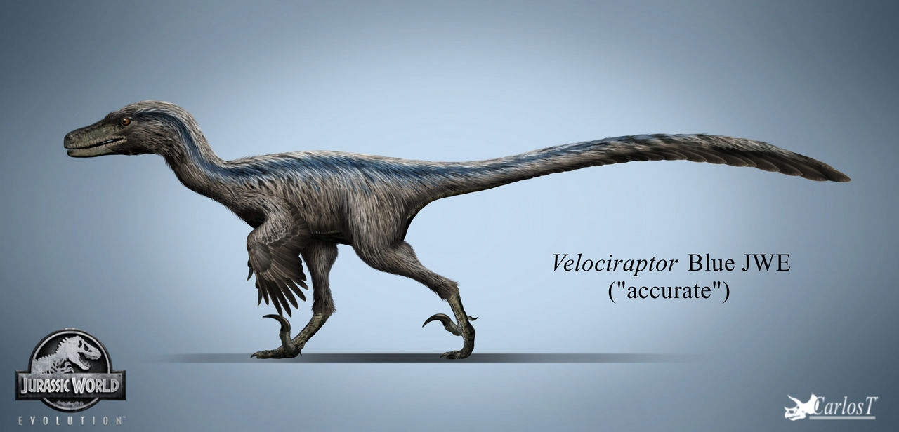 Velociraptor sp. Blue JWE (accurate) by Carlost1205 on DeviantArt