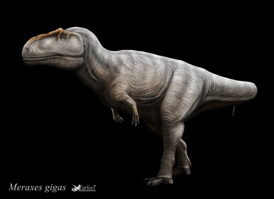 Meraxes gigas by Carlost1205 on DeviantArt